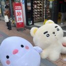 서울 인형뽑기 투어 후기 : 홍대, 성신여대, 잠실