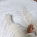 졸리쇼즈 컴퍼니