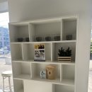 카페자연 | 양재 카페다이나 후기 | 자연광 장난 아닌 통창뷰 카페 추천