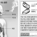 "흡연이 폐암·후두암·구강암 원인" 첫 과학적 입증 이미지