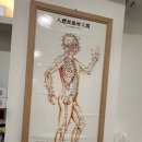 쾌유수기요법연구소