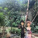 카페정원 | 🌿 하늘물빛정원 식물원카페 내돈내산 후기