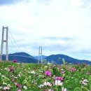 이순신대교 먹거리타운 이미지