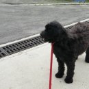 플라츠907(Platz907) 이미지