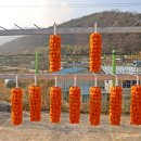 지리산곰실곶감농원 이미지