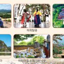 안동시티투어