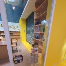 왈왈스쿨 이미지