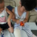 <열두줄에 놀다> 이미지