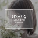 더릿스튜디오