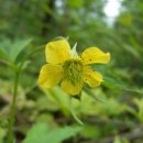 조양초등학교 이미지