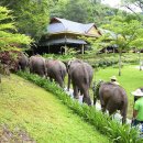 코끼리민박 이미지