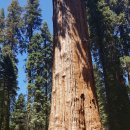 중앙행정사무소 이미지