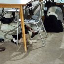 풍천사슴농장 이미지