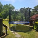 산삼꽃피는마을 | 경기 안성 촌캉스 산삼꽃피는마을펜션 위치 객실 가격 정보