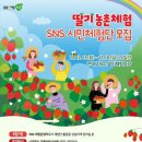 딸기미용실 이미지