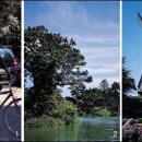 골든게이트 이미지