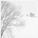 성철목장 이미지