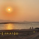 석양을 품은 물고기 이미지