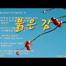 수니 라이브