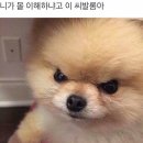 야 이미지