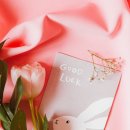 디자인집 이미지