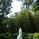섭리유치원 이미지