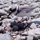 매일목욕탕 이미지