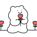 꽃개애견미용 이미지