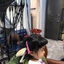 매직카라