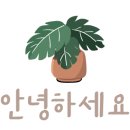 제주향기부동산중개 이미지