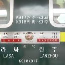 란주 이미지