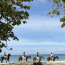 바람의 노래와 순결한 바다의 숨결 이미지