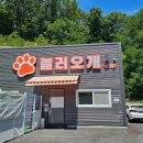 놀러오개 애견유치원 모충점 | [놀러오개 송점점]휴가철 애견호텔 추천 경기광주 애견호텔 후기