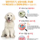 홈플러스준약국 이미지