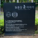 늘솔길숲이야기 화장실 | 인천 늘솔길공원 산책코스, 카페, 주차장, 편백숲 인천 가볼만한곳