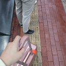 713 | 독일 프랑크푸르트 루프탄자 LH713 소요시간 게이트 비상구 좌석 후기