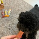 비트덴탈 이미지