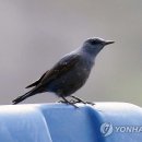 푸른바다 어린이집 이미지