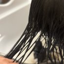 신석초교 | 공덕동 두피스파 소브에스테틱스파 후기