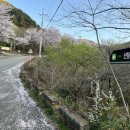 지에스25지리산천왕봉점 이미지