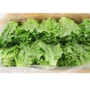 자연대로4 이미지