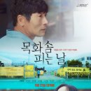 목화 티스토리