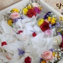 곁애
