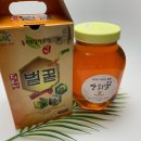 스타덤핏 이미지