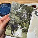 올림픽로 92길 이미지