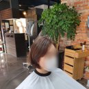 애쉬헤어 디자인