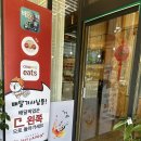 치파오24 이미지