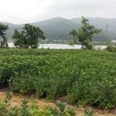 재분농장 이미지