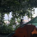 하랑캠핑장 이미지