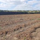 우도중학교 이미지